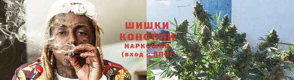 гидра Туринск