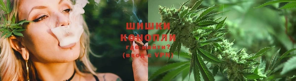 амфетамин Белокуриха