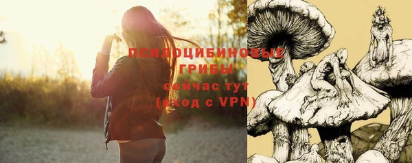 амфетамин Белокуриха