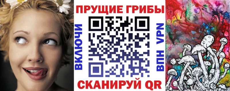Псилоцибиновые грибы Cubensis Володарск