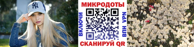 Псилоцибиновые грибы Psilocybine cubensis  Володарск 